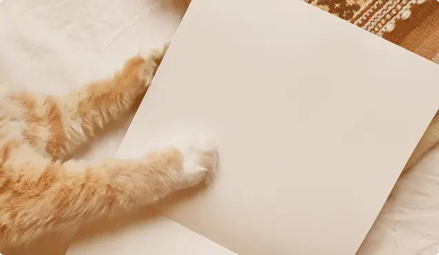 An orange tabby cat's paw rests on a blank, blank square card on a bed.